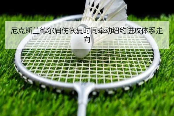 尼克斯兰德尔肩伤恢复时间牵动纽约进攻体系走向