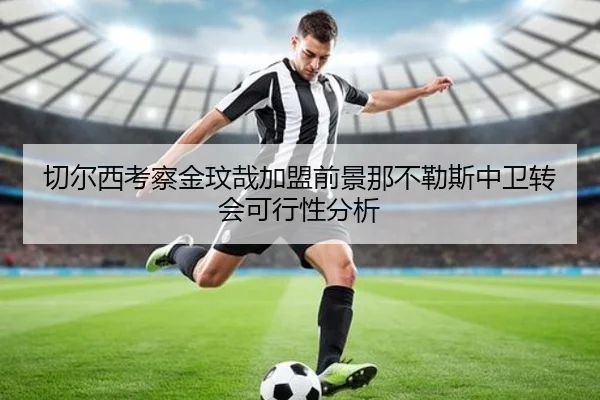 切尔西考察金玟哉加盟前景那不勒斯中卫转会可行性分析
