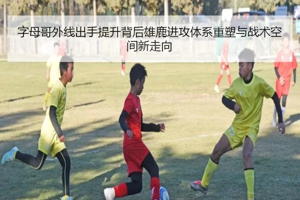 字母哥外线出手提升背后雄鹿进攻体系重塑与战术空间新走向